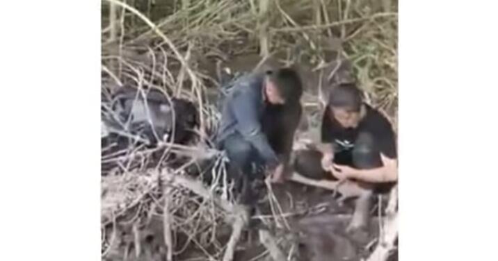 Waspada, Beredar Video Puluhan TKI Diduga Dibuang di Pulau Geronggang oleh Tekong