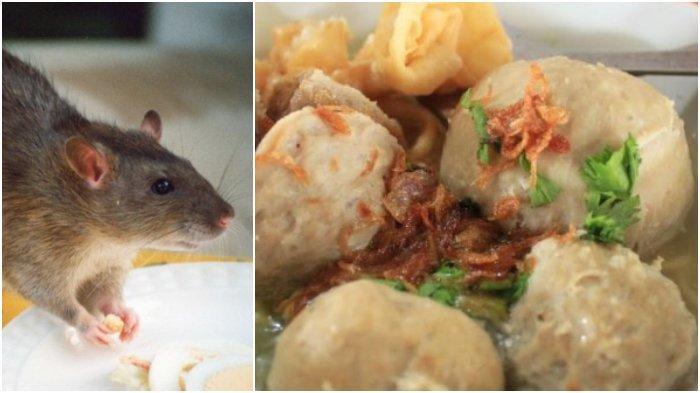 Waspada Jajan Baso,Mulai dari Berbahan Daging Tikus Sampai Berbelatung Sering Ditemui