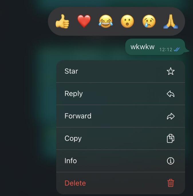 WhatsApp Rilis Fitur Baru Reaksi Pakai Emoji, Cara Baru Dia Akhiri Chat