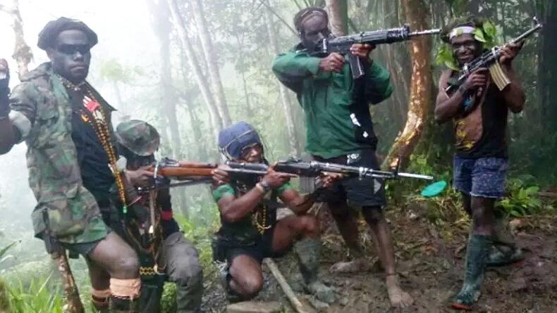 Diserang KKB, 1 Brigjen Hilang dan 7 Tentara Tewas