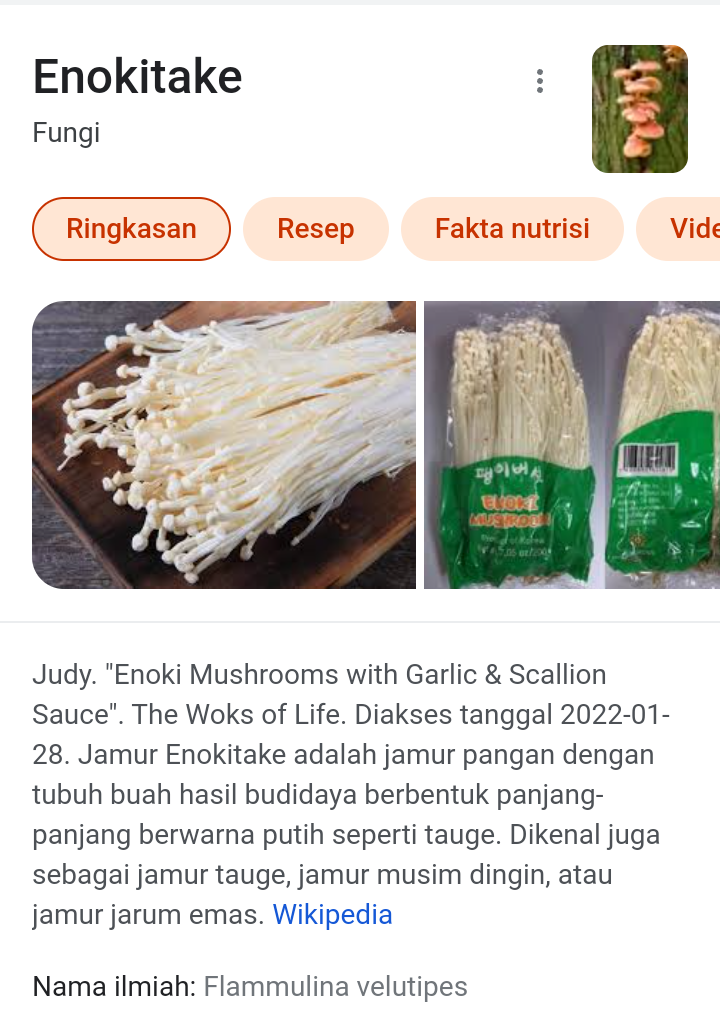 Mau Makan Cumi Mahal? Masak Ini Saja Yuk, Pengganti Daging, Vegetarian Cek