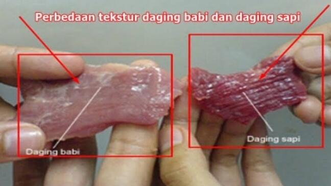 Terjawab, Alasan Kenapa Non Muslim Tidak Semua Menyukai Daging Babi