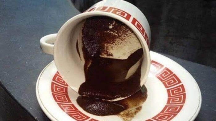 Menggunakan Ampas Kopi Sebagai Pupuk, Petani ini Hemat Pembelian Pupuk
