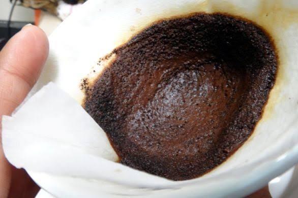 Menggunakan Ampas Kopi Sebagai Pupuk, Petani ini Hemat Pembelian Pupuk