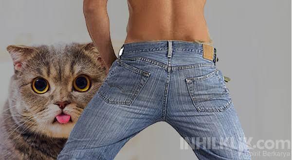 Heboh di Twitter Tukang Tambal Ban Diduga Sodomi Kucing, Apakah Bentuk Kelainan?