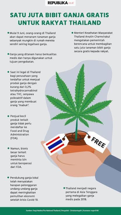 Di Thailand, Ngasih Penduduknya 1 Juta Benih Ganja Gratis. Untuk Apa?