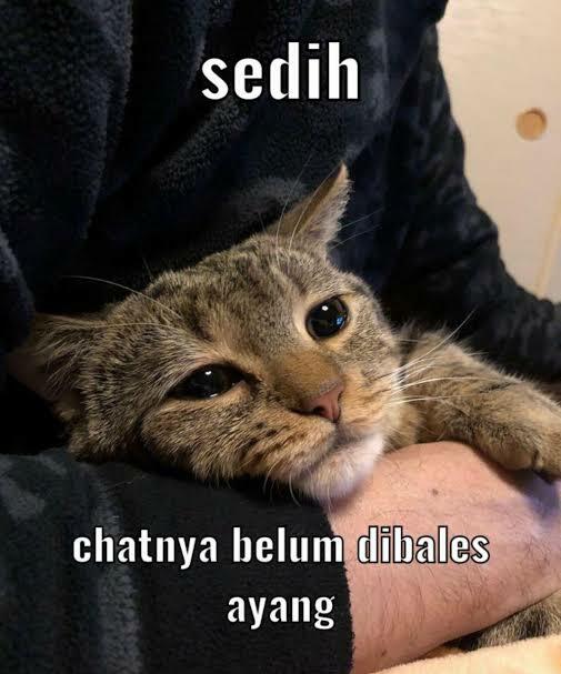 Kumpulan Meme Ayang Untuk Menghibur Hati Yang Galau Biar Makin Galau