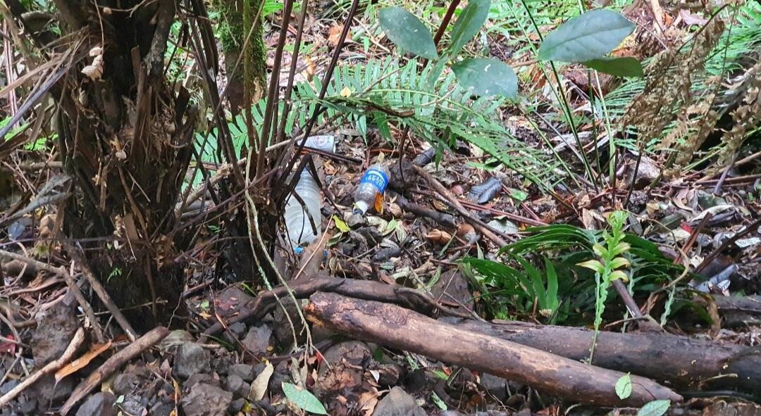 Nostalgia di Suryakencana Gunung Gede Pangrango