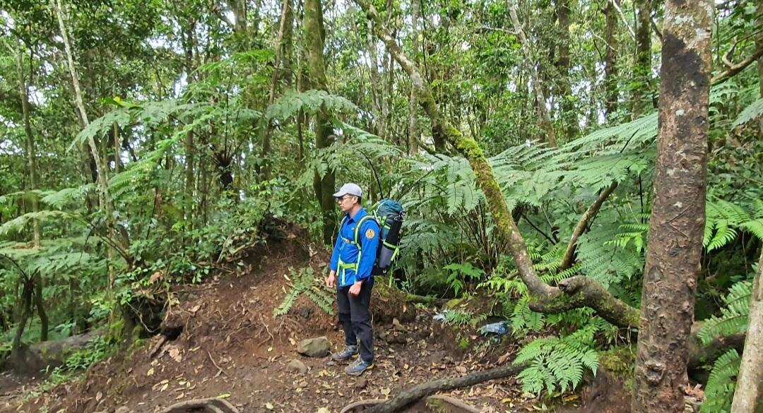 Nostalgia di Suryakencana Gunung Gede Pangrango