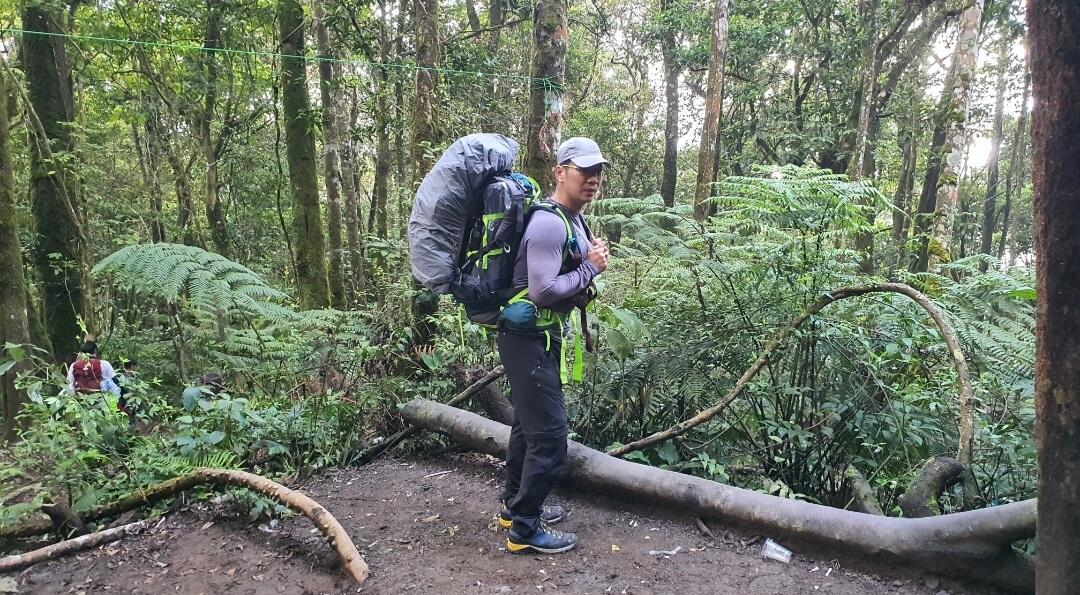 Nostalgia di Suryakencana Gunung Gede Pangrango