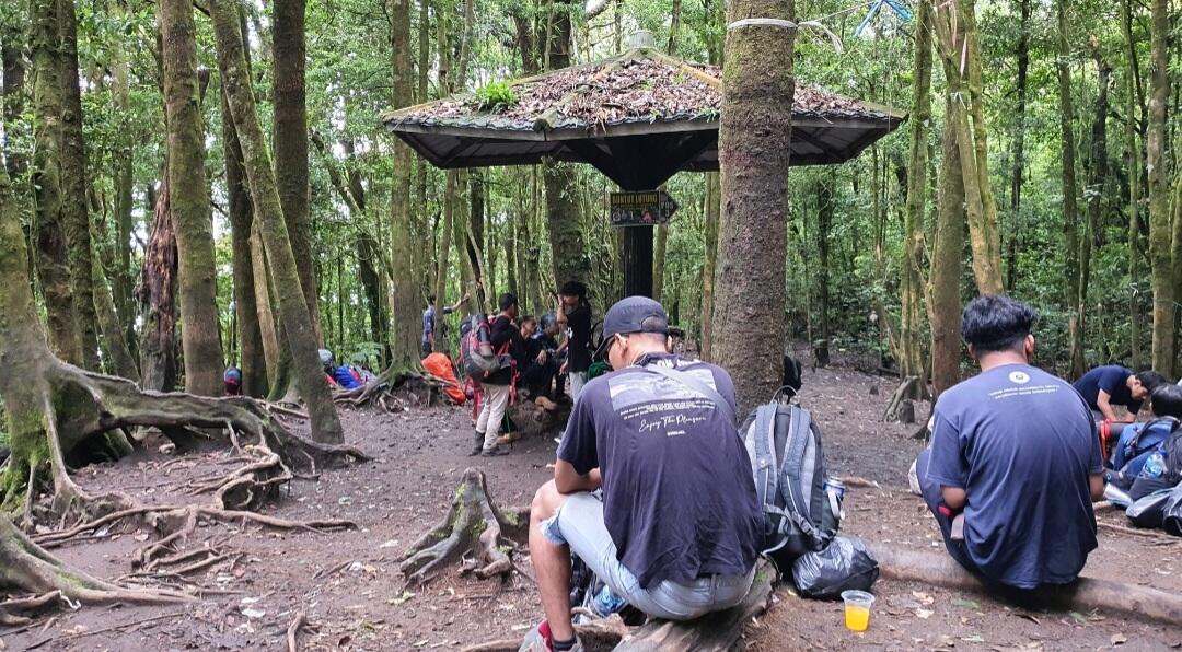 Nostalgia di Suryakencana Gunung Gede Pangrango