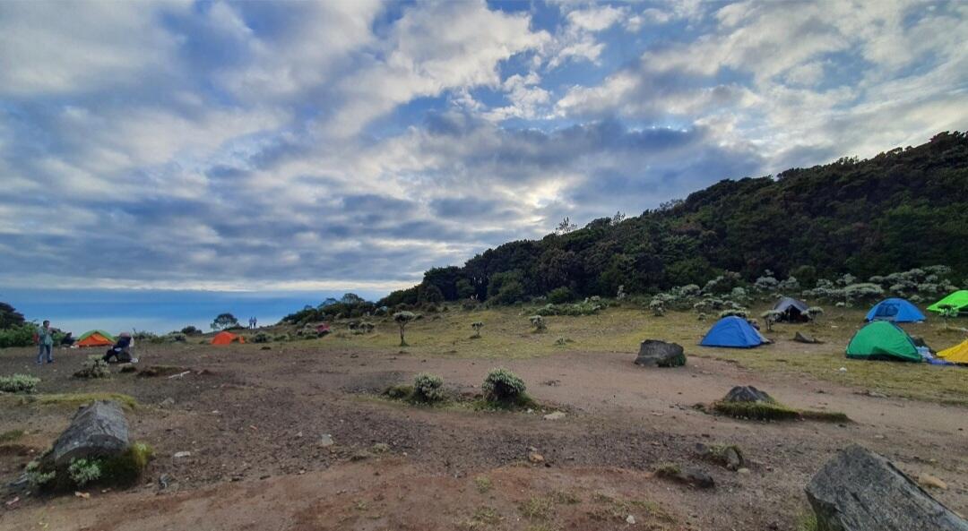 Nostalgia di Suryakencana Gunung Gede Pangrango