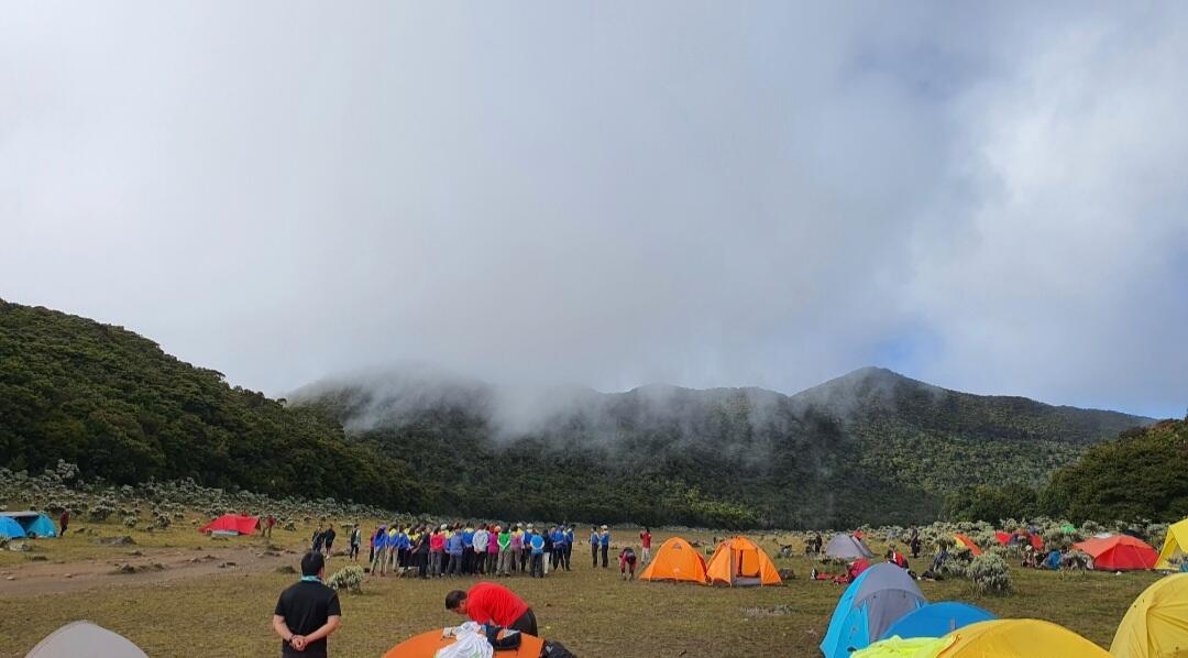 Nostalgia di Suryakencana Gunung Gede Pangrango