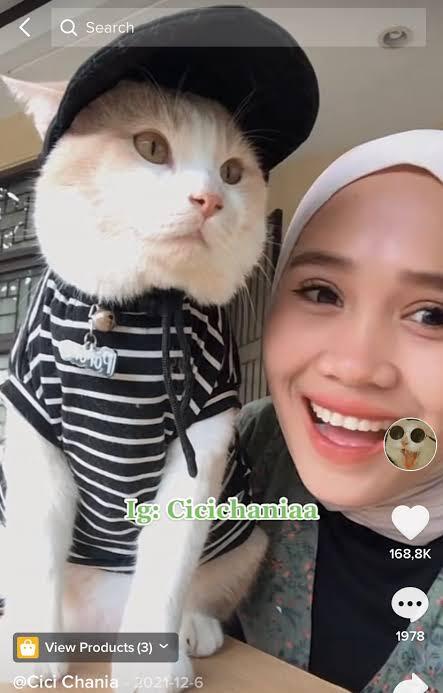 Pororo Kucing Tiktok Ketemu, Sebelumnya Hilang di Margahayu