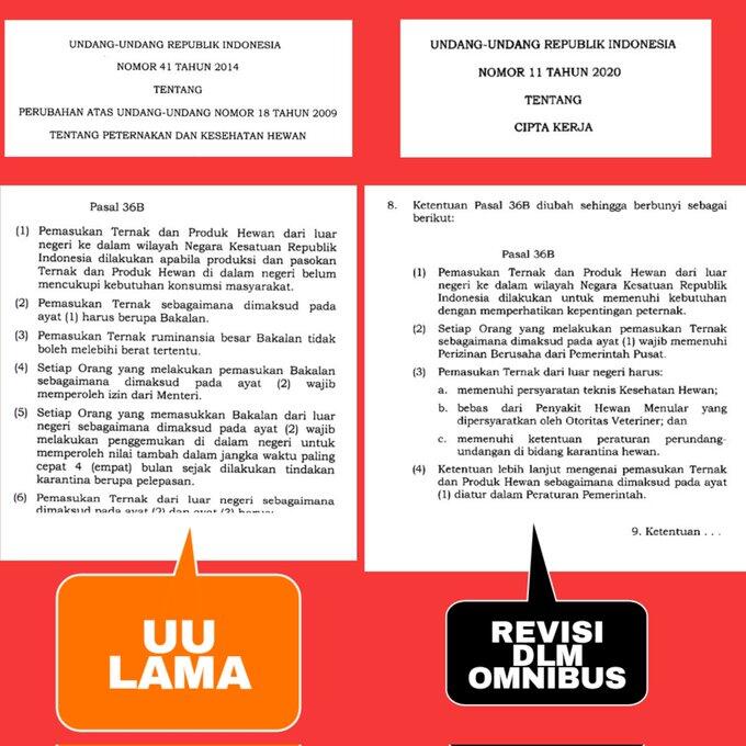 Diduga Akibat Impor Produk Hewan Dari India, PMK Jadi Wabah di Indonesia