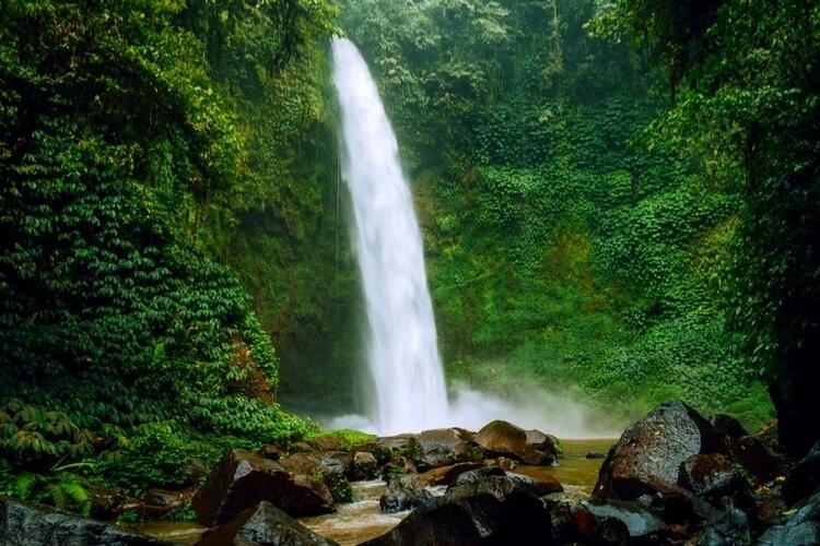 Kisah Horor: Akibat Mengambil Barang Di Hutan, Orang Ini Diikuti Makhluk Halus!