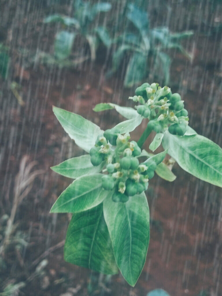 HATI-HATI KETIKA BERDOA (Pengingat Diri)