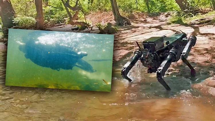 Robot Anjing yang Dibuat Untuk Militer Amerika Kini Dilengkapi Kemampuan Berenang