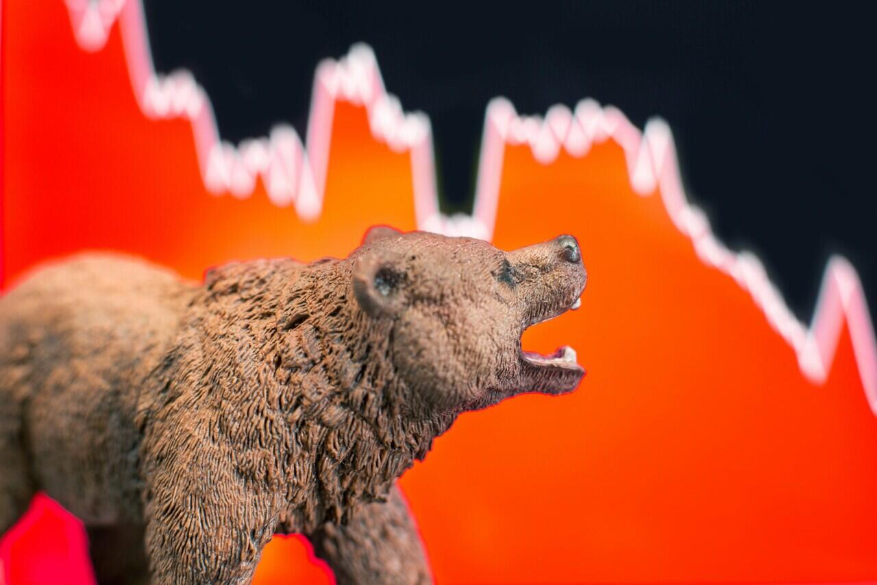 New in Crypto? Come here ,Apa sih Bear market?