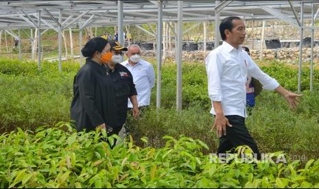 Gubernur Kaltim Sapa Puan di Depan Jokowi: Calon Presiden Indonesia