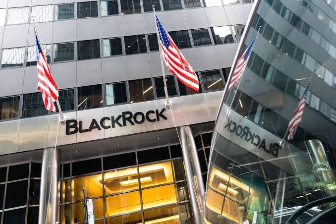 BlackRock Dan Vanguard Menguasai Segalanya! Benarkah Begitu?