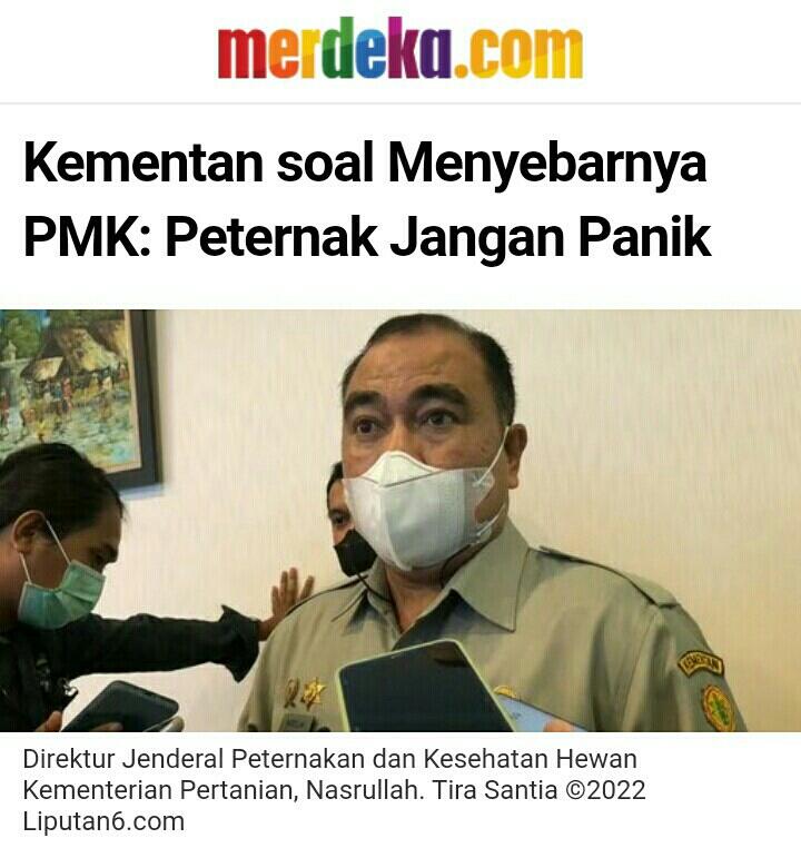Jelang Idul Adha Pemerintah Harus Pro Aktif Tangani PMK Hewan Ternak.