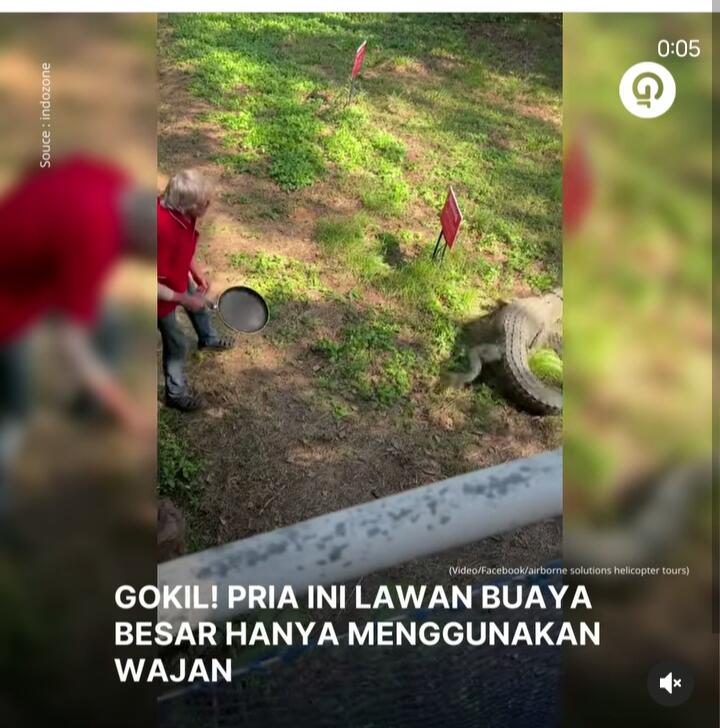 Cuma Pakai Wajan Penggorengan, Pria Ini Pukul Kepala Buaya dan Mengusirnya