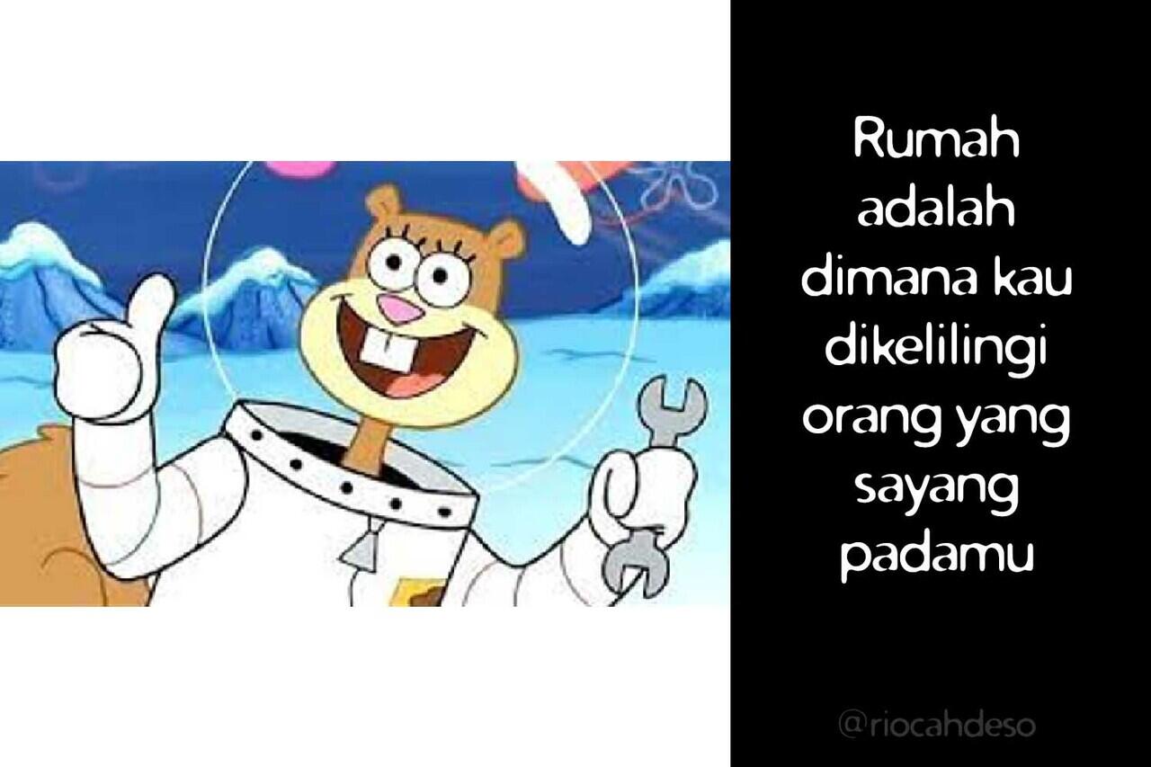 Kekuatan Quotes Sandy Cheeks Yang Merubah Dunia Kedewasaan