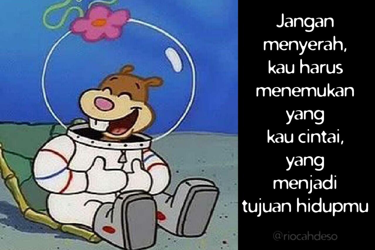 Kekuatan Quotes Sandy Cheeks Yang Merubah Dunia Kedewasaan