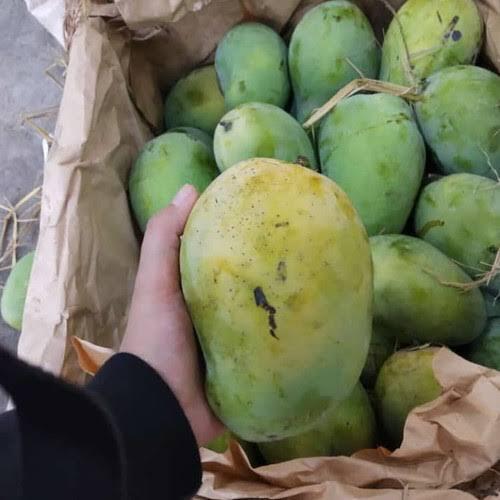 Jarang Belanja Buah? Jangan Sekali Kali Nyebut Nama Buah Ini Nanti Bingung Sendiri!