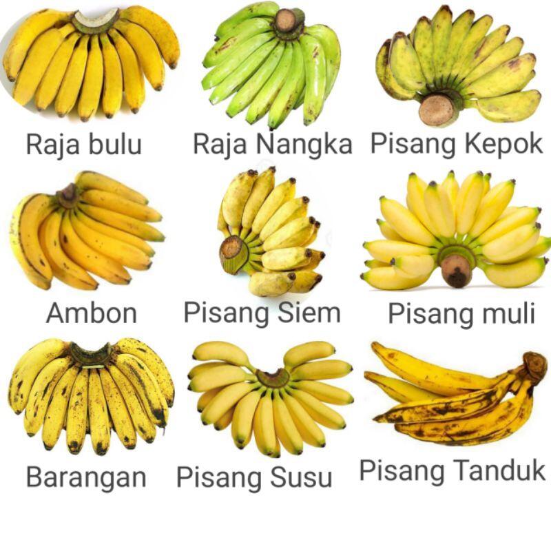 Jarang Belanja Buah? Jangan Sekali Kali Nyebut Nama Buah Ini Nanti Bingung Sendiri!