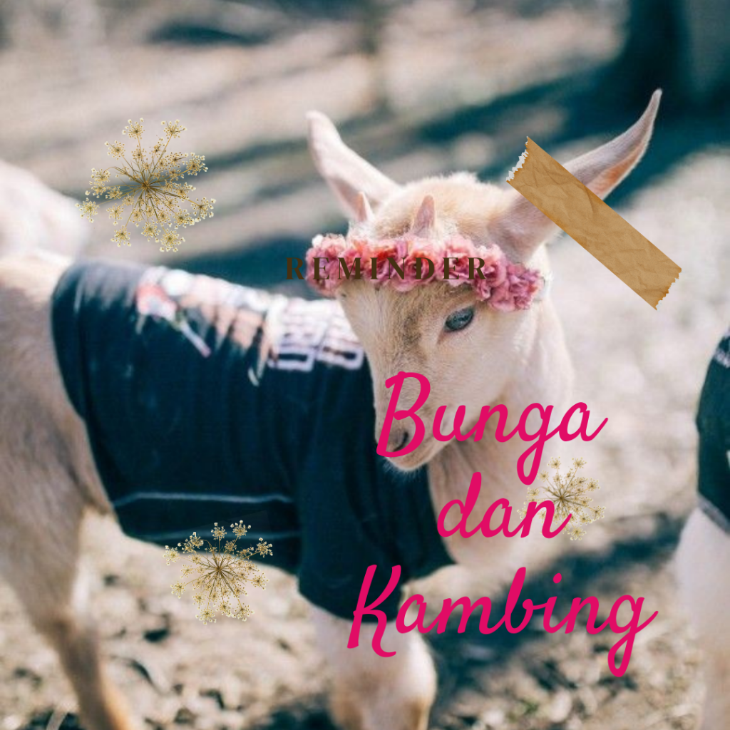 Bunga dan Kambing