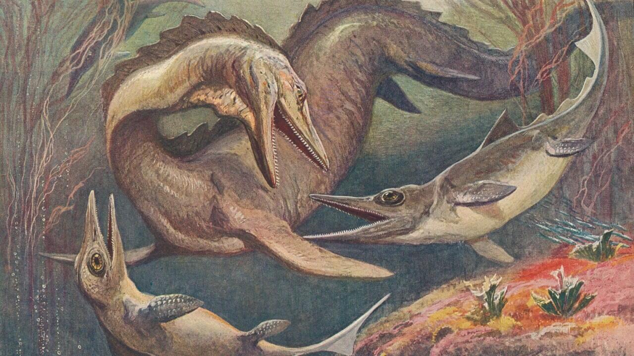 Kenalan dengan Paleoartists, Profesi yang Bisa &quot;Hidupkan&quot; Kembali Dinosaurus!