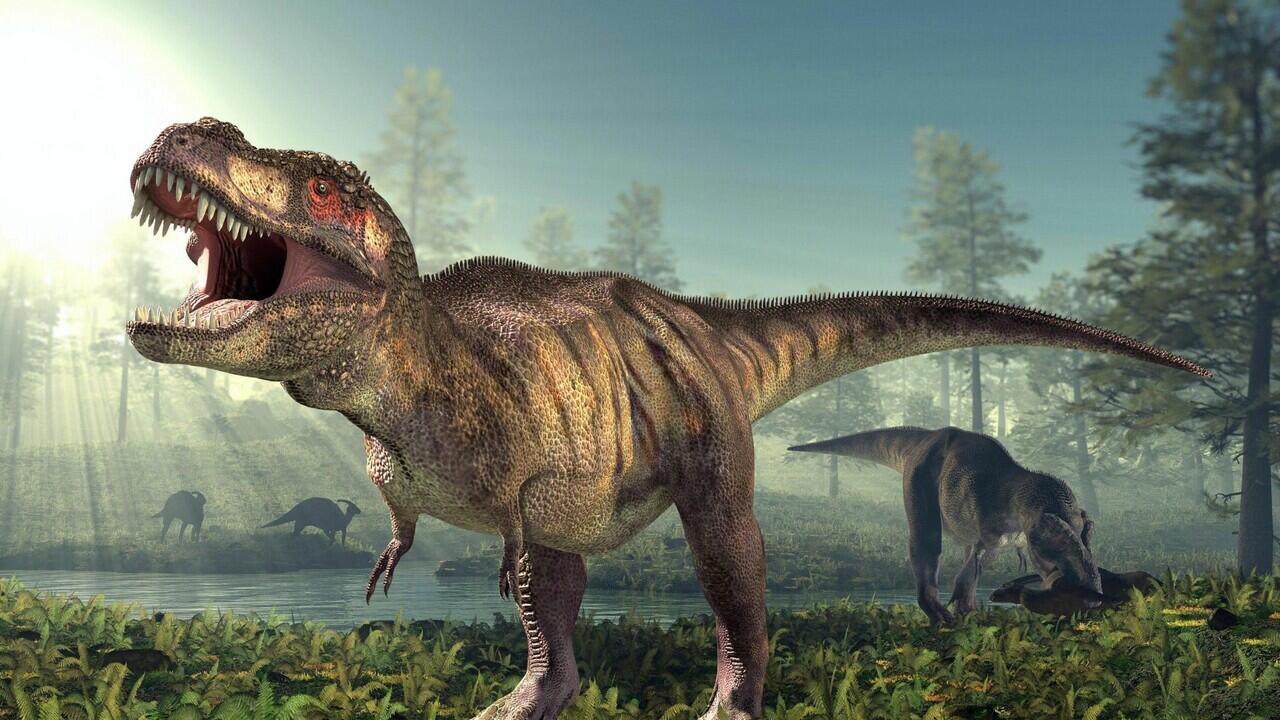 Duh Ketipu, Ternyata Begini Wujud T-Rex Sebenarnya!