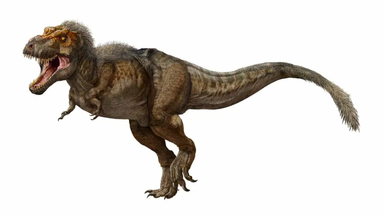 Duh Ketipu, Ternyata Begini Wujud T-Rex Sebenarnya!