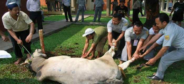 7 Menu Incaran Di Hari Raya Qurban, Agan Mengincar yang Mana?
