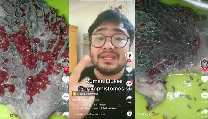 Beredar Video Terdapat Banyak Cacing Merah Pada Babat Sapi, Apakah Itu Berbahaya?