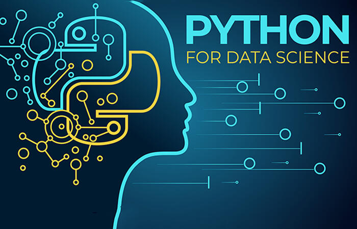 Learn Python for Data Science—Steps to Become a Python Expert