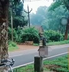 Viral Kakek Kakek Bawa Kepala