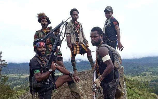 KKB Papua Dinilai Mirip Organisasi Teroris Boko Haram di Nigeria