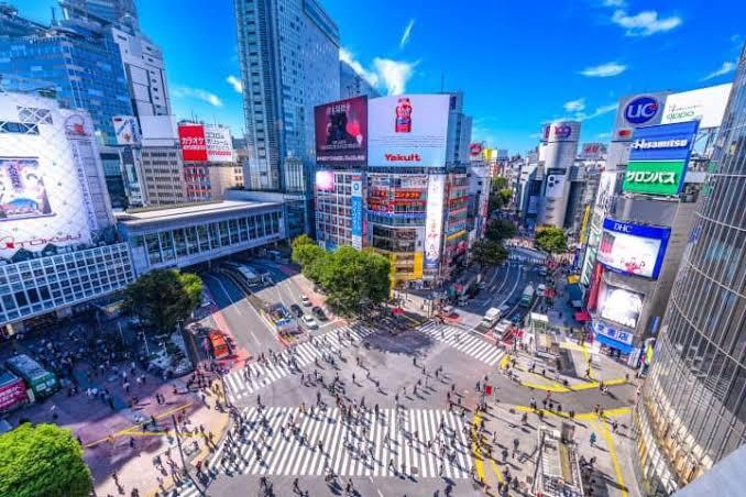 Zebra Cross : Sejarah dan Fungsi Sebenarnya