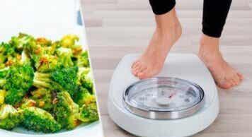 Seven Balanced Foods For Shedding Weight and Fats