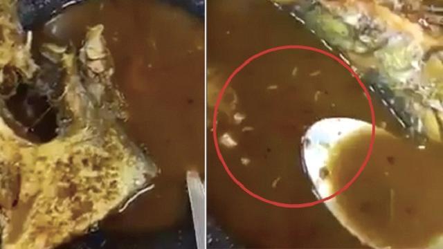 Masih Ditemukan Rumah Makan Hidangkan Makanan Tidak Layak Saji, Awas Bangkrut