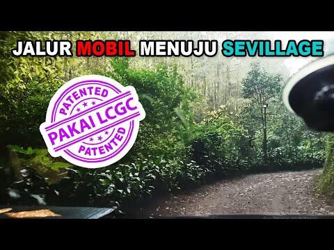 Jalur Mobil Menuju Wisata Alam Sevillage Puncak Bogor
