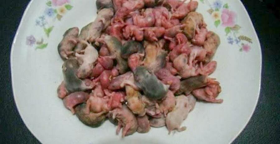 Makan Bayi Tikus Hidup-hidup! Hidangan Unik Dari Tiongkok, Berminat Coba?