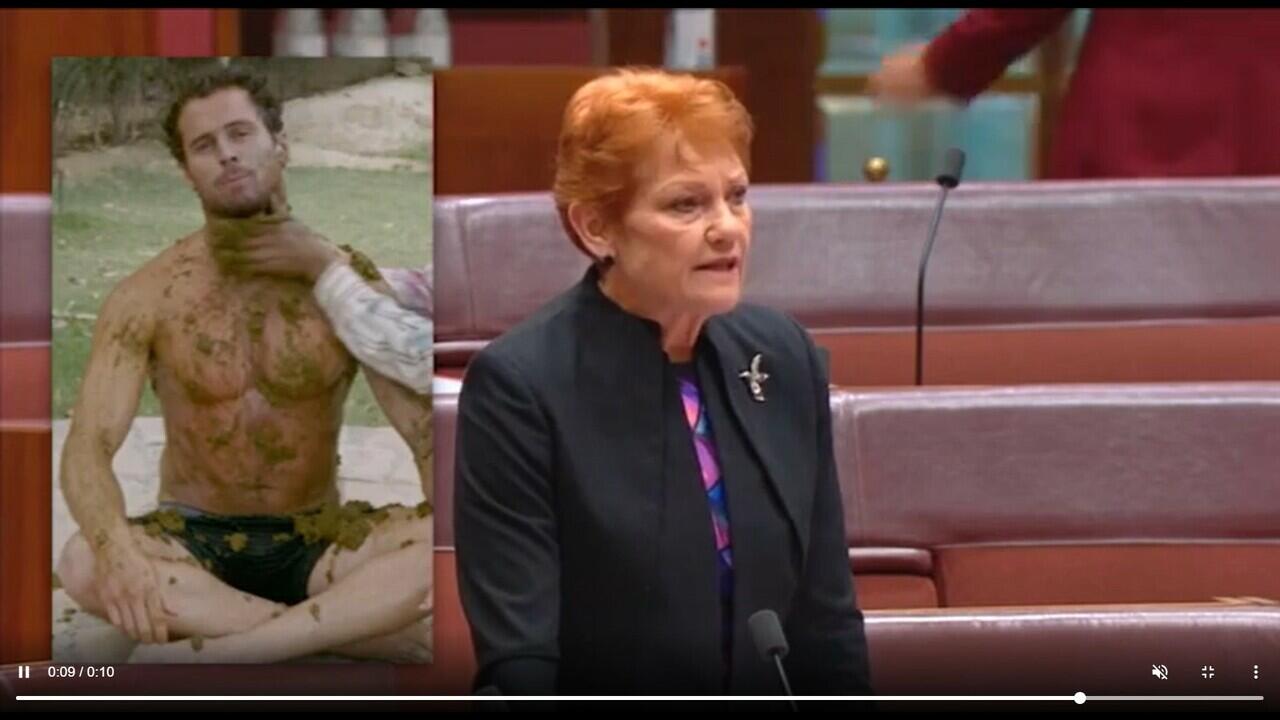 Senator Australia Menghina Bali, Disindir Warga Sendiri dan Diserbu Warganet +62