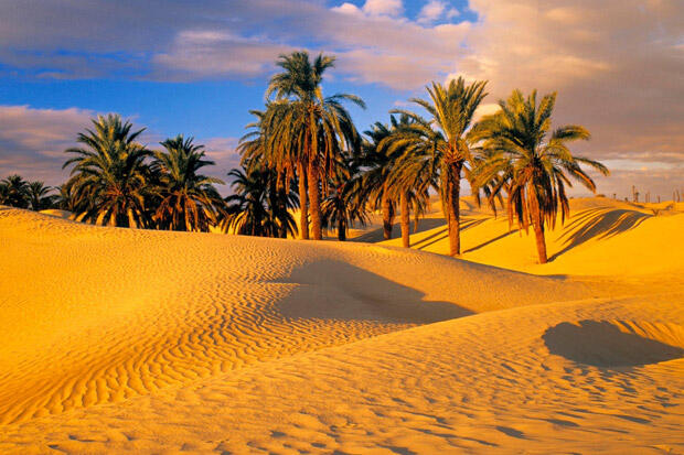 ini 5 fakta tentang Gurun Sahara
