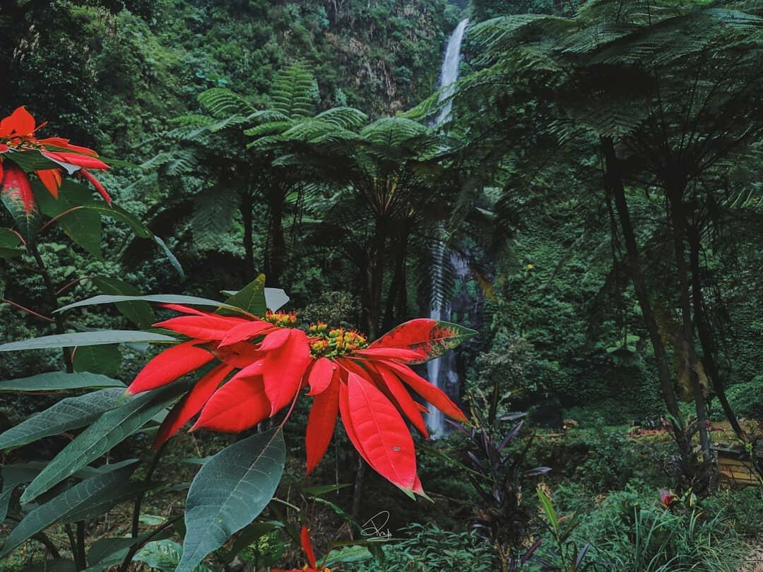 &#91;True Story&#93; Tertipu Penghuni Air Terjun Tancak