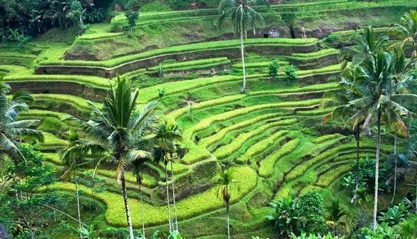 Apa Yang Menyebabkan Bali Lebih Terkenal, Dibandingkan Pulau Lain Di Indonesia?
