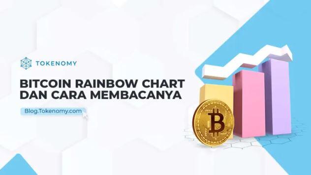 Apa itu Bitcoin Rainbow Chart dan Cara Membacanya